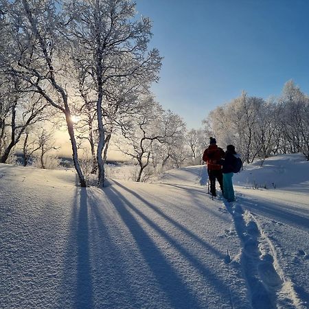 Ringstad Resort Bo (Nordland) エクステリア 写真