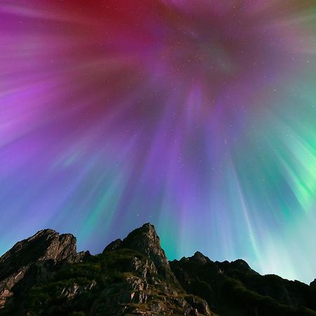 Ringstad Resort Bo (Nordland) エクステリア 写真