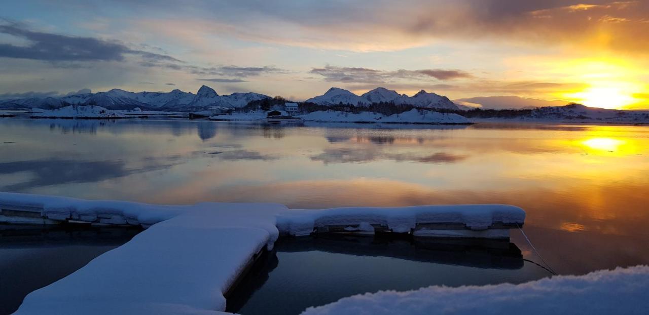 Ringstad Resort Bo (Nordland) エクステリア 写真