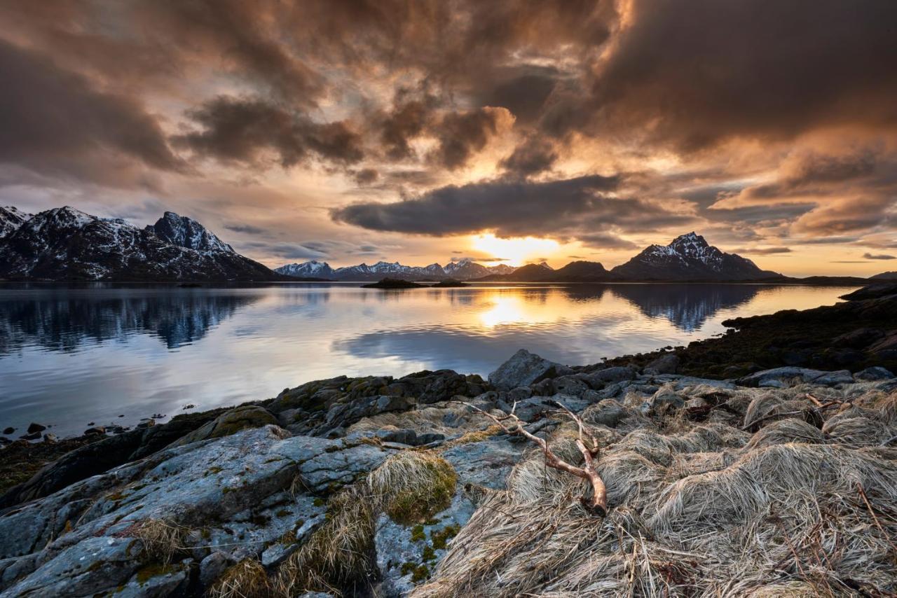 Ringstad Resort Bo (Nordland) エクステリア 写真
