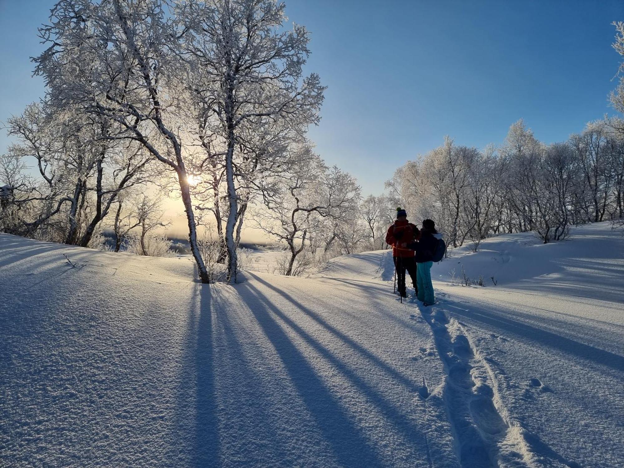 Ringstad Resort Bo (Nordland) エクステリア 写真