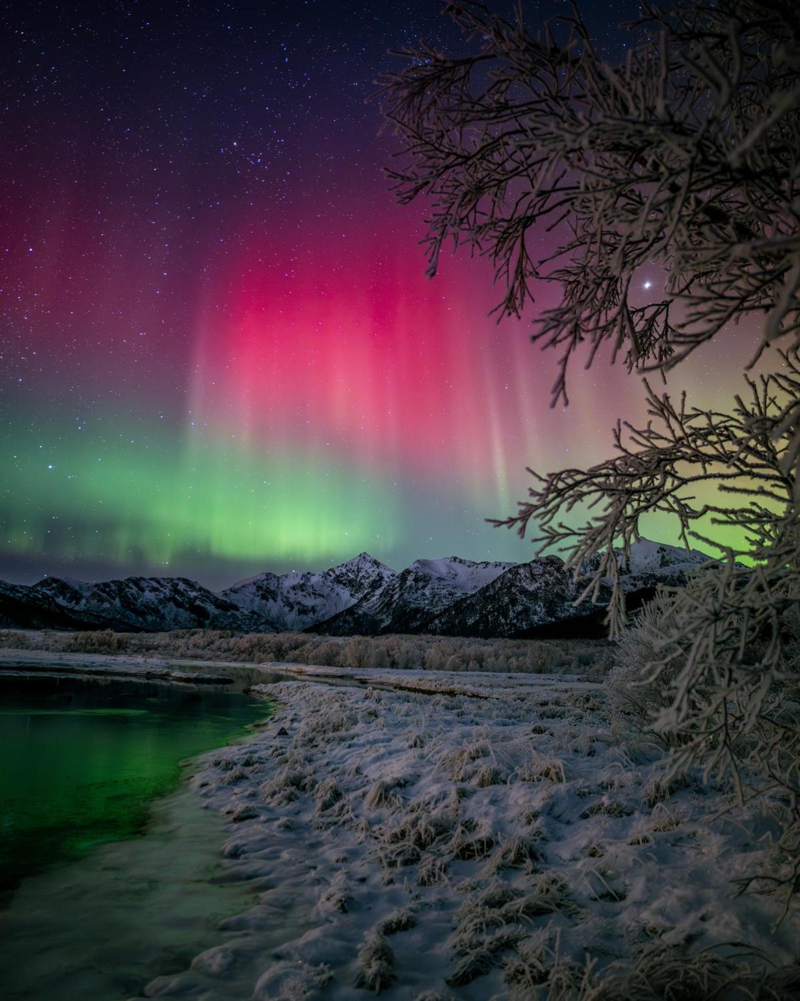 Ringstad Resort Bo (Nordland) エクステリア 写真